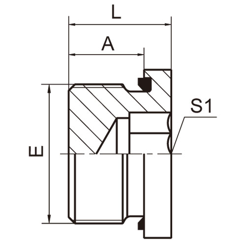 ɽͷ ADAPTER 4MN-WD