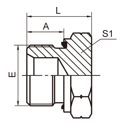 ɽͷ ADAPTER 4B-WD