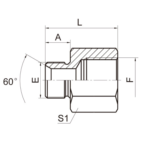 ɽͷ ADAPTER 5B