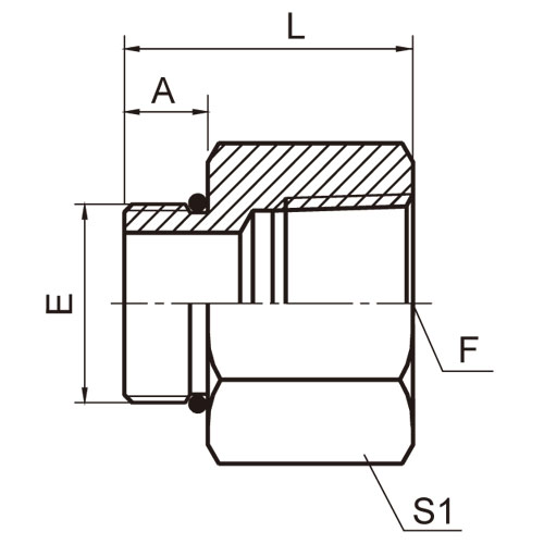 ɽͷ ADAPTER 5OT