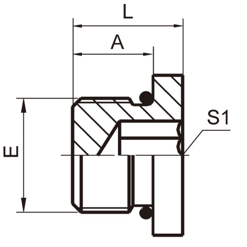 ɽͷ ADAPTER 4ON