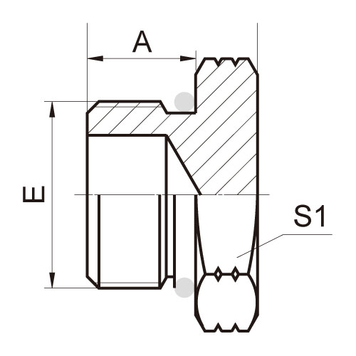 ɽͷ ADAPTER 4O