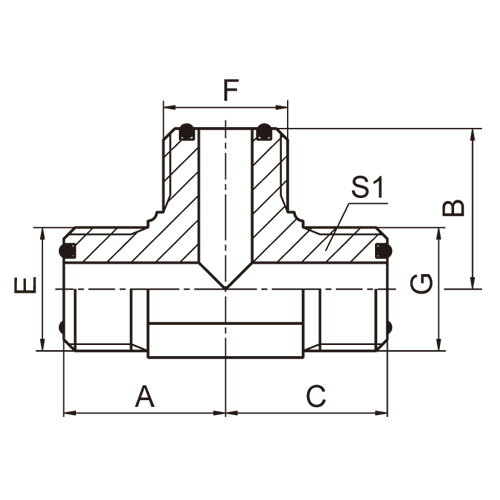 ɽͷ ADAPTER AF