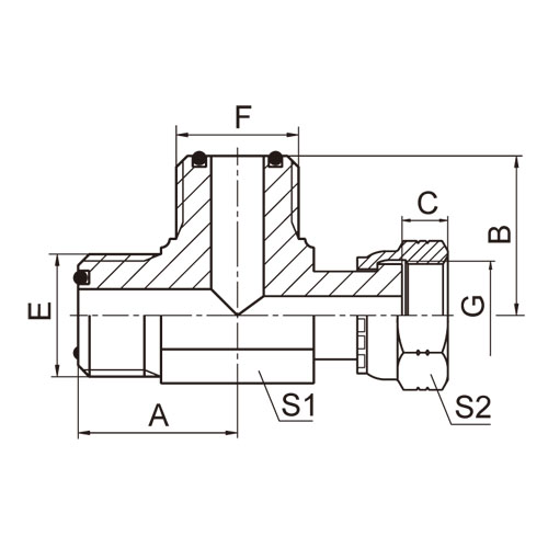 ɽͷ ADAPTER CF