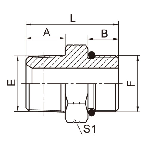 ɽͷ ADAPTER 1NO