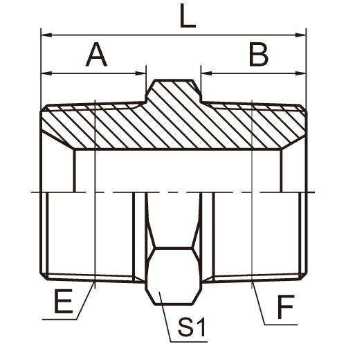 ɽͷ ADAPTER 1NT