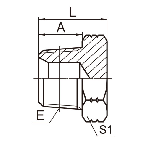 ɽͷ ADAPTER 4N