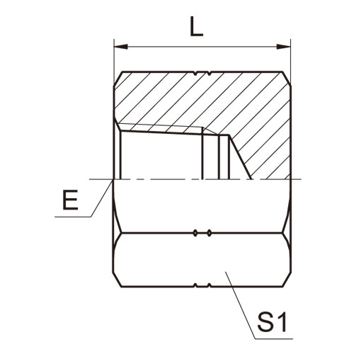 ɽͷ ADAPTER 9N-CAP